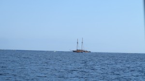 2014.9.11 Boats in Malta